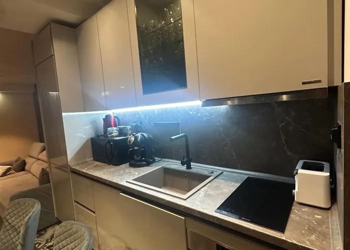 Prime Mountain View 公寓